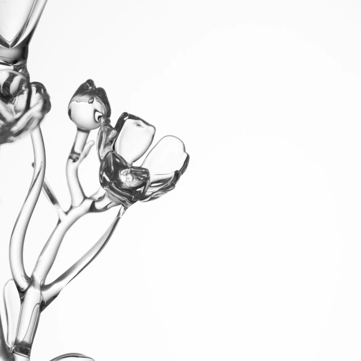 Bicchiere da cocktail Ranunculus Acris