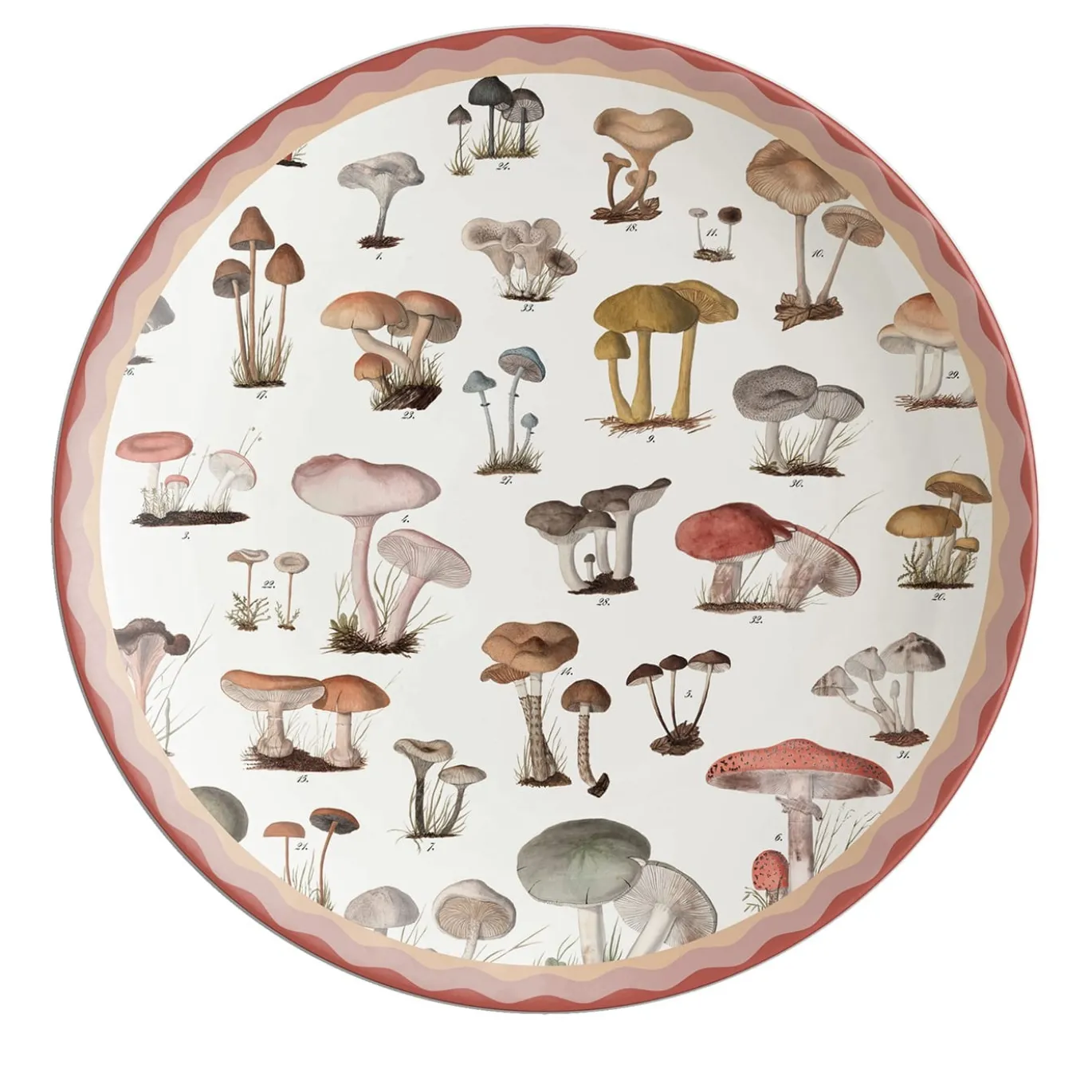 Cabinet De Curiosités Piatto da portata in porcellana con funghi