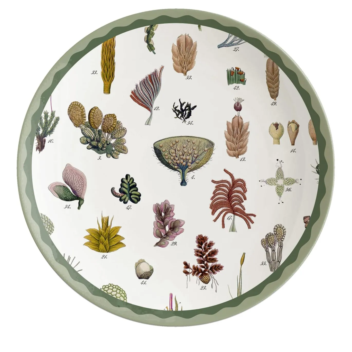 Cabinet De Curiosités Set di 2 piatti da dessert in porcellana con alghe marine