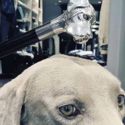 Calzascarpe Labrador argento
