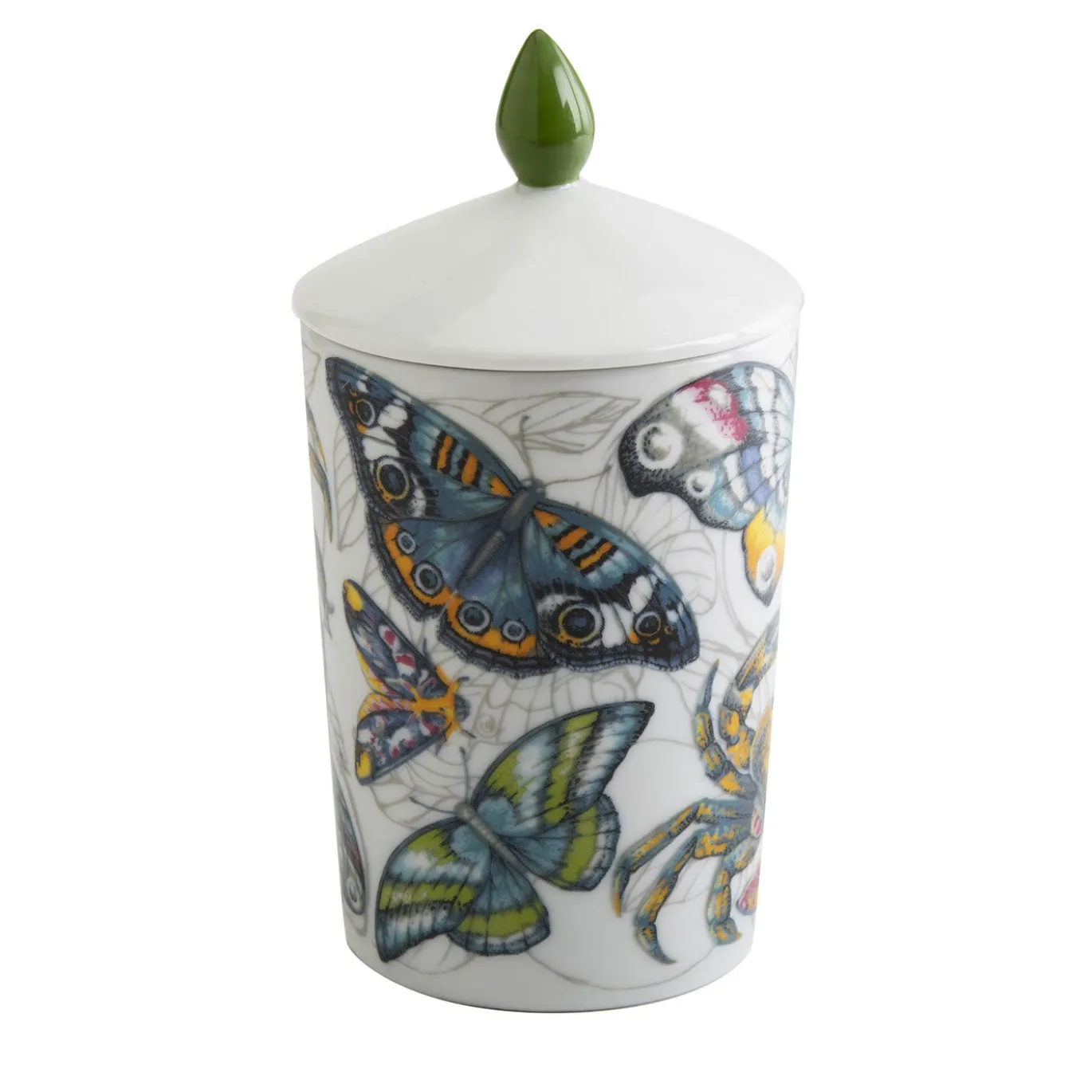 Candela Borea Luxe