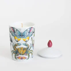 Candela Carezze Luxe