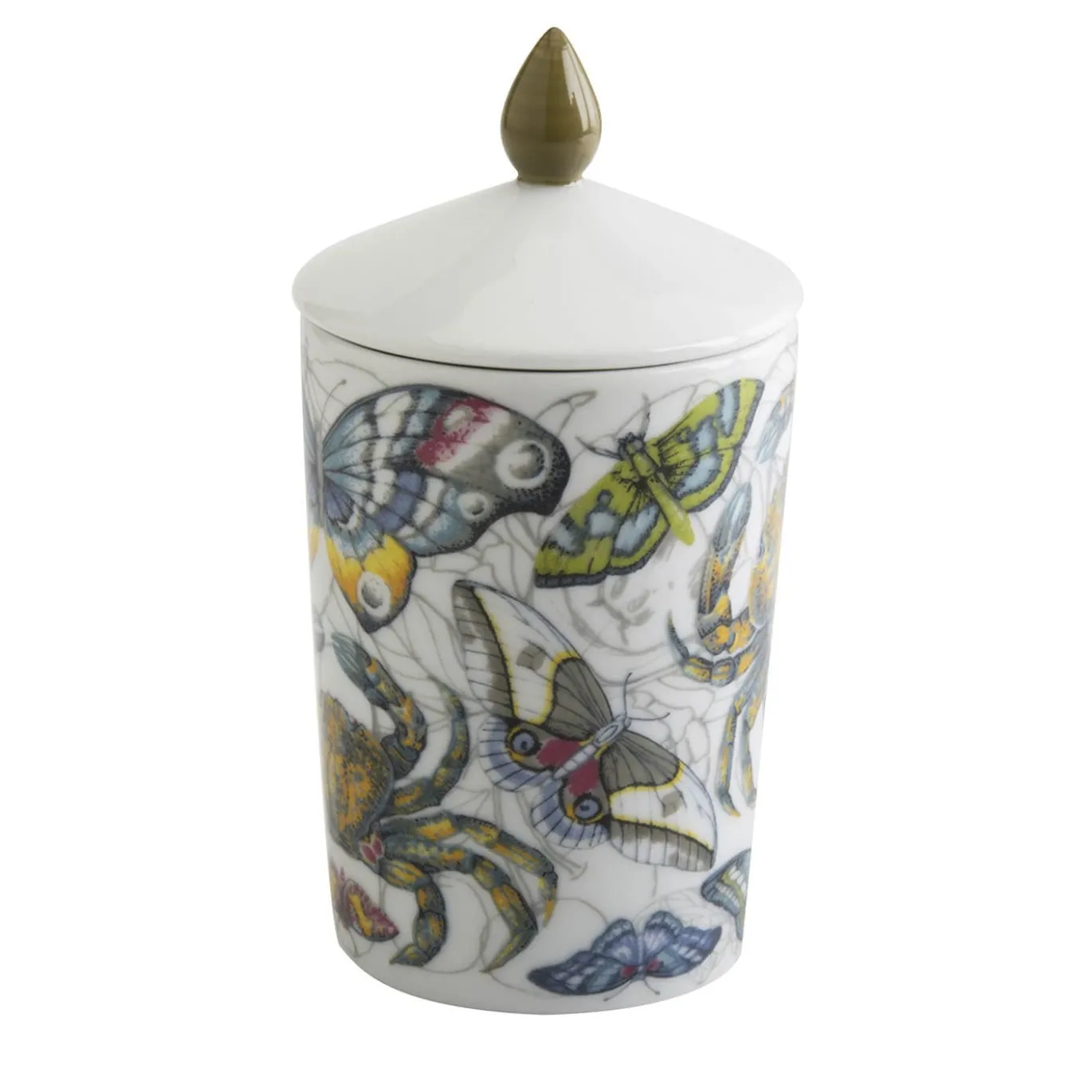 Candela Carpe Diem Luxe