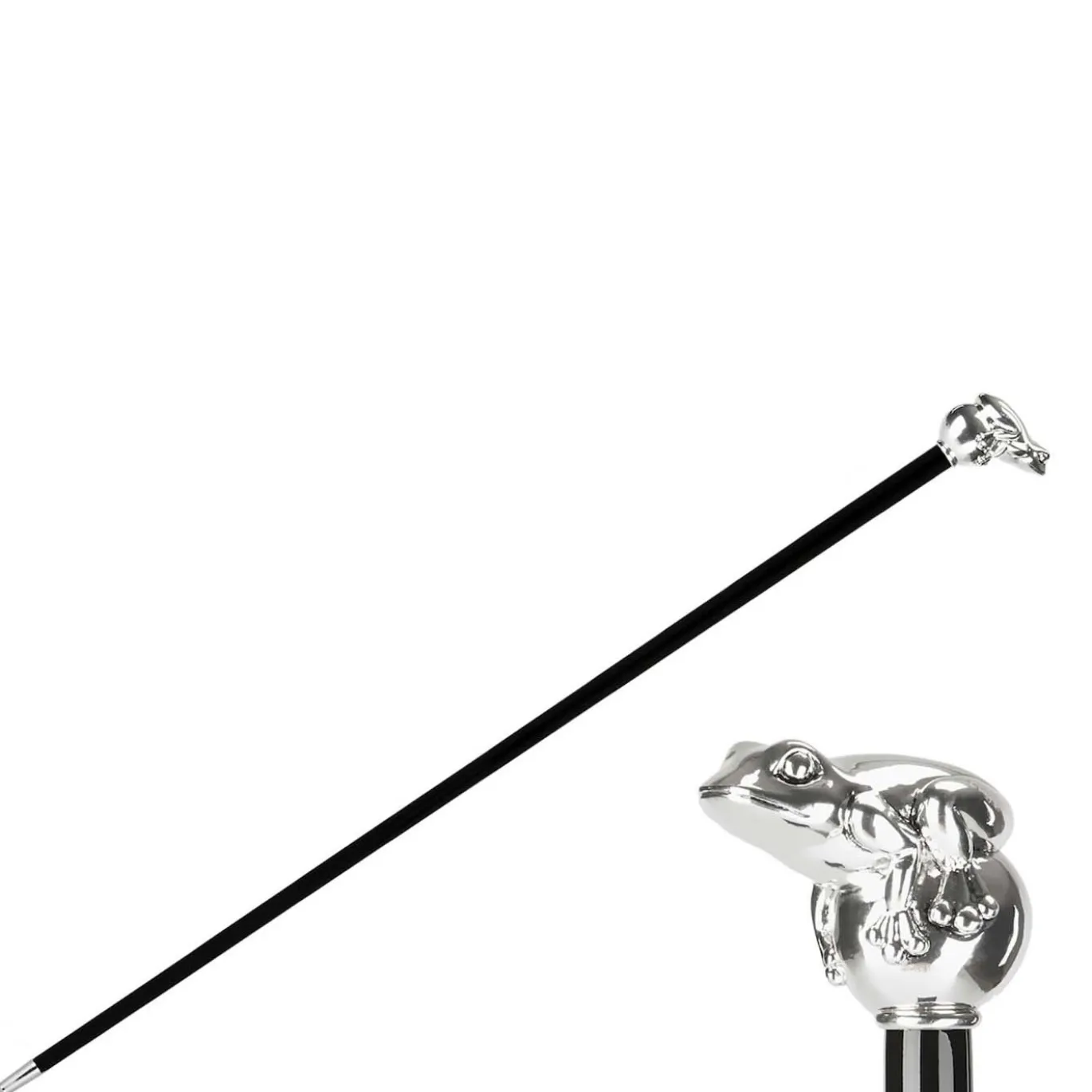Canna da rana d'argento