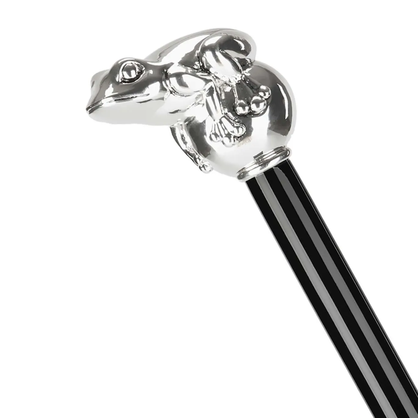 Canna da rana d'argento