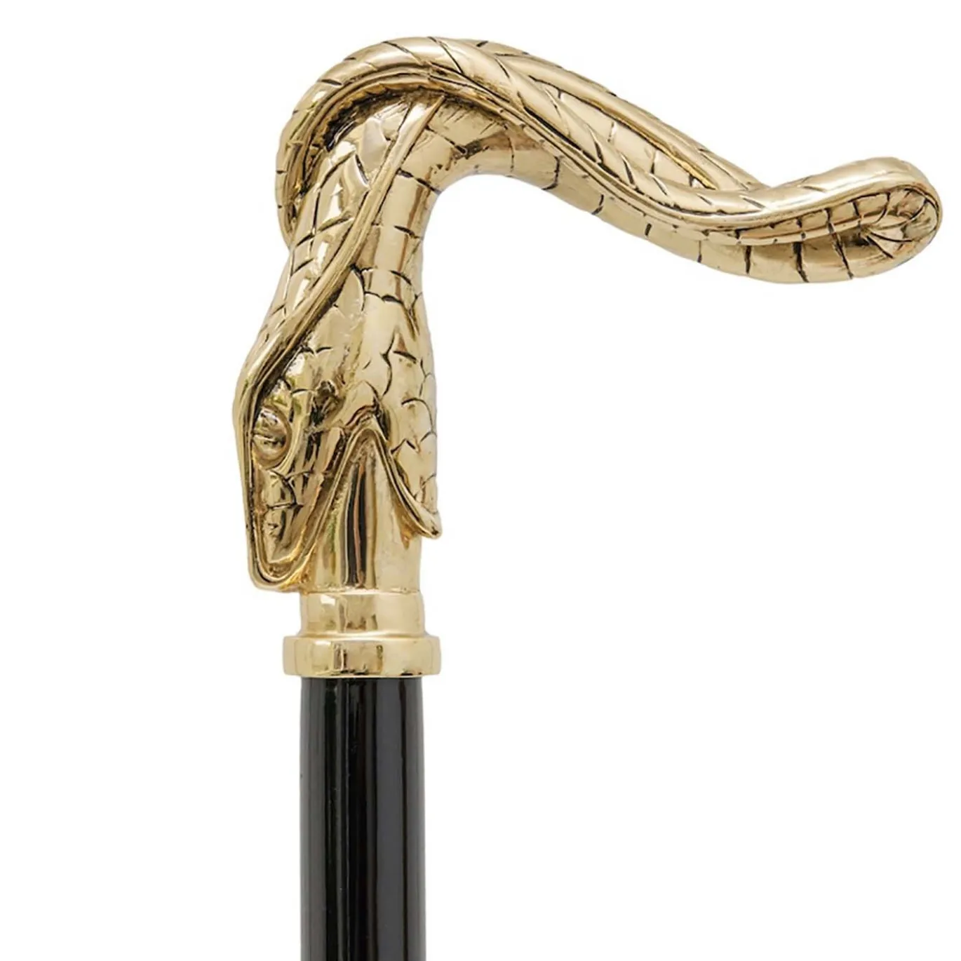 Canna del serpente d'oro