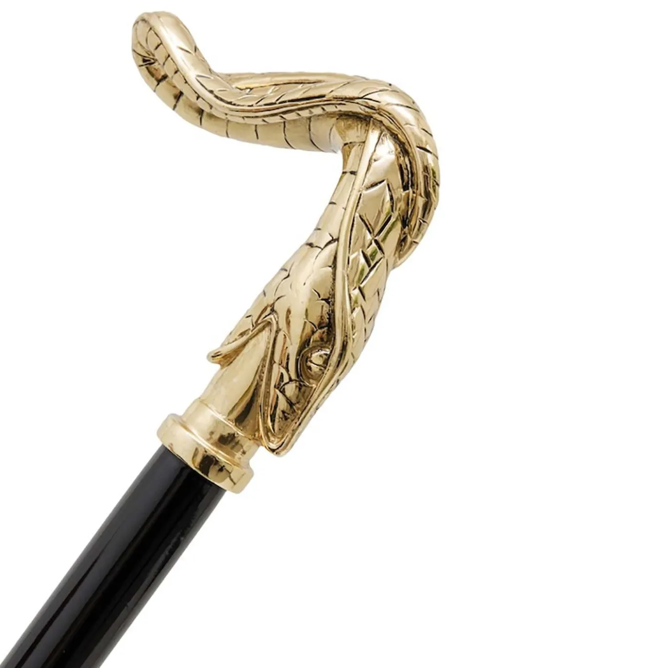 Canna del serpente d'oro