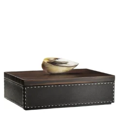 CAPRICIA box #2