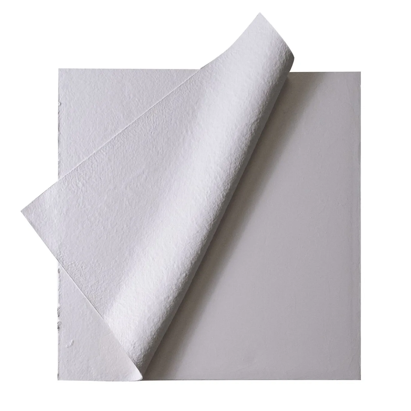 Carta Bianca - Gesso Acrilici e Carta Indiana su Tela di Cotone #1