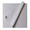 Carta Bianca - Gesso Craquelé e Acrilici su Tela di Cotone #1