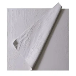Carta Bianca - Gesso Craquelé e Acrilici su Tela di Cotone #1