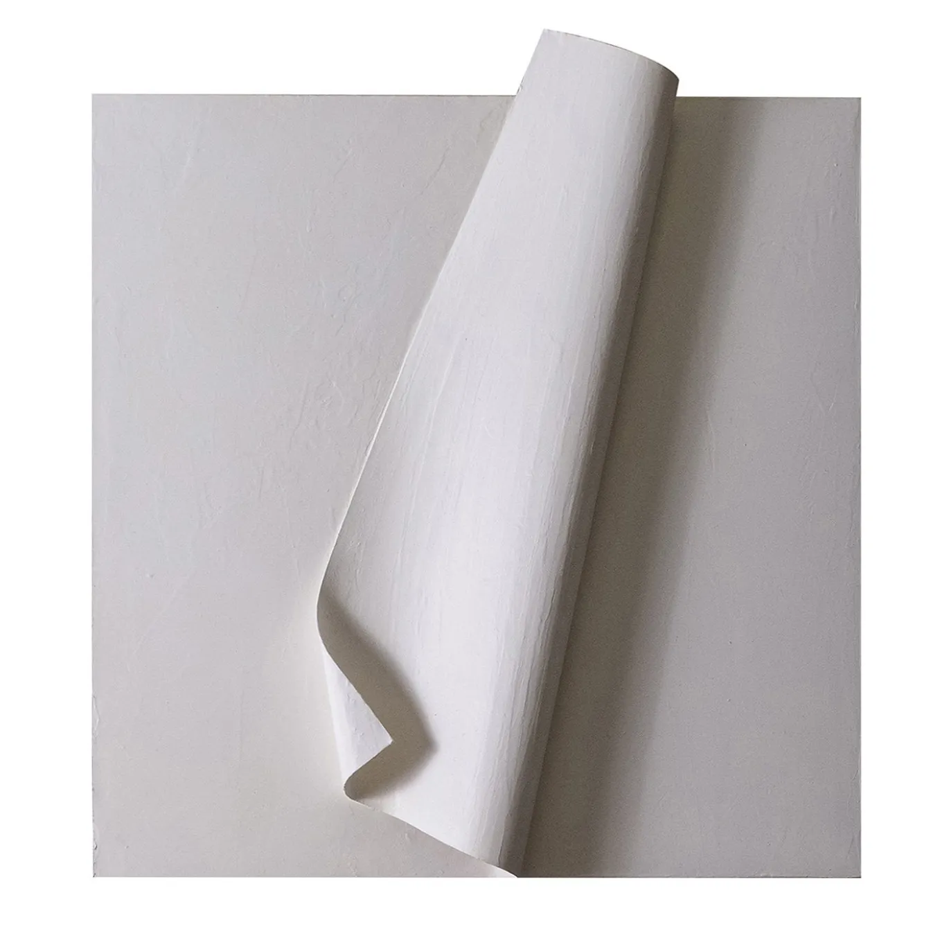 Carta Bianca - Gesso e Acrilici su Tela di Cotone #1