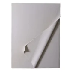 Carta Bianca - Gesso e Acrilici su Tela di Cotone #4