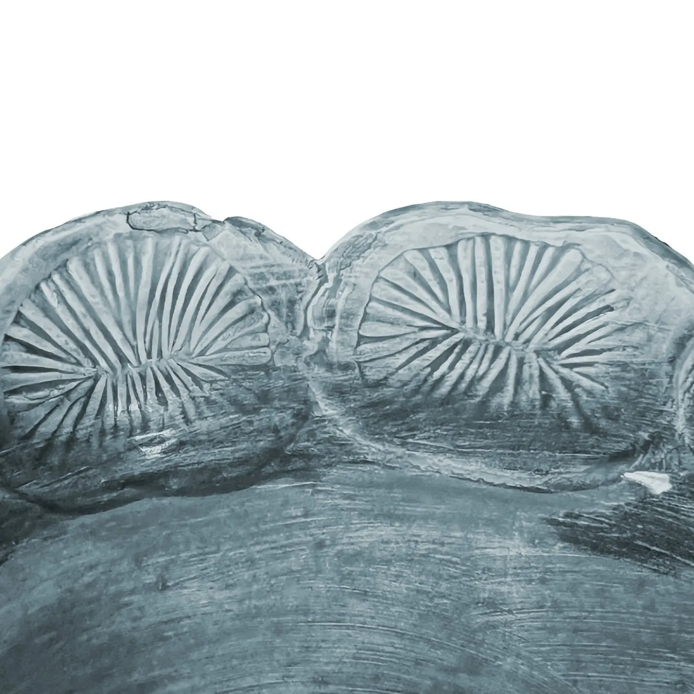 Ciotola decorativa Mars