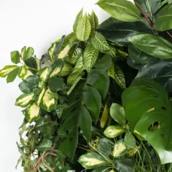 Composizione verde verticale per interni Hana