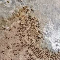 Dittico Materico Medi-ter in Resina