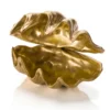 Double Shell Oro