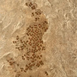 Evoluzione OGW Triadico Opere d'Arte Astratte in Resina