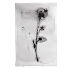 Fiori N.7 Pittura su carta
