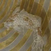 Fluctus legno intagliato con foglia d'oro e d'argento di Giuseppe Caiafa