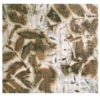 Forme Vegetali Pittura #3