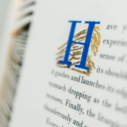 Il Libro d'Arte Decorativa in Edizione Limitata Onde Dorate