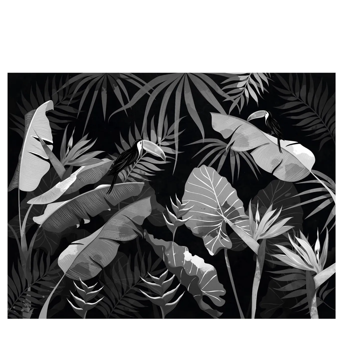 Jungle Dream BandW White Row Carta da parati