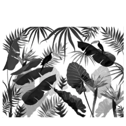 Jungle Dream W&B White Row Carta da parati