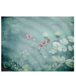 Koi Nature Carta da parati
