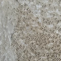 Litorale-Confini Pittura in resina testurizzata