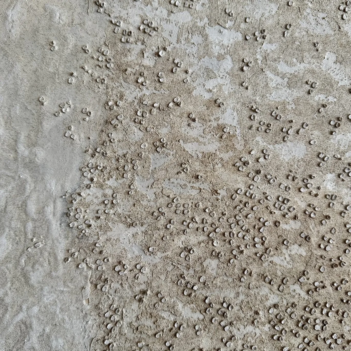 Litorale-Confini Pittura in resina testurizzata