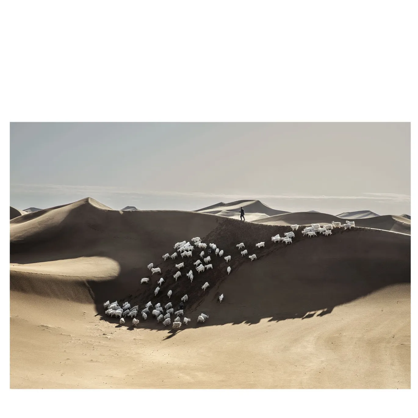 L'origine di un segreto Fine Art Print #1