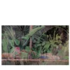 Majorelle Jungle Timeless 23 Carta da parati