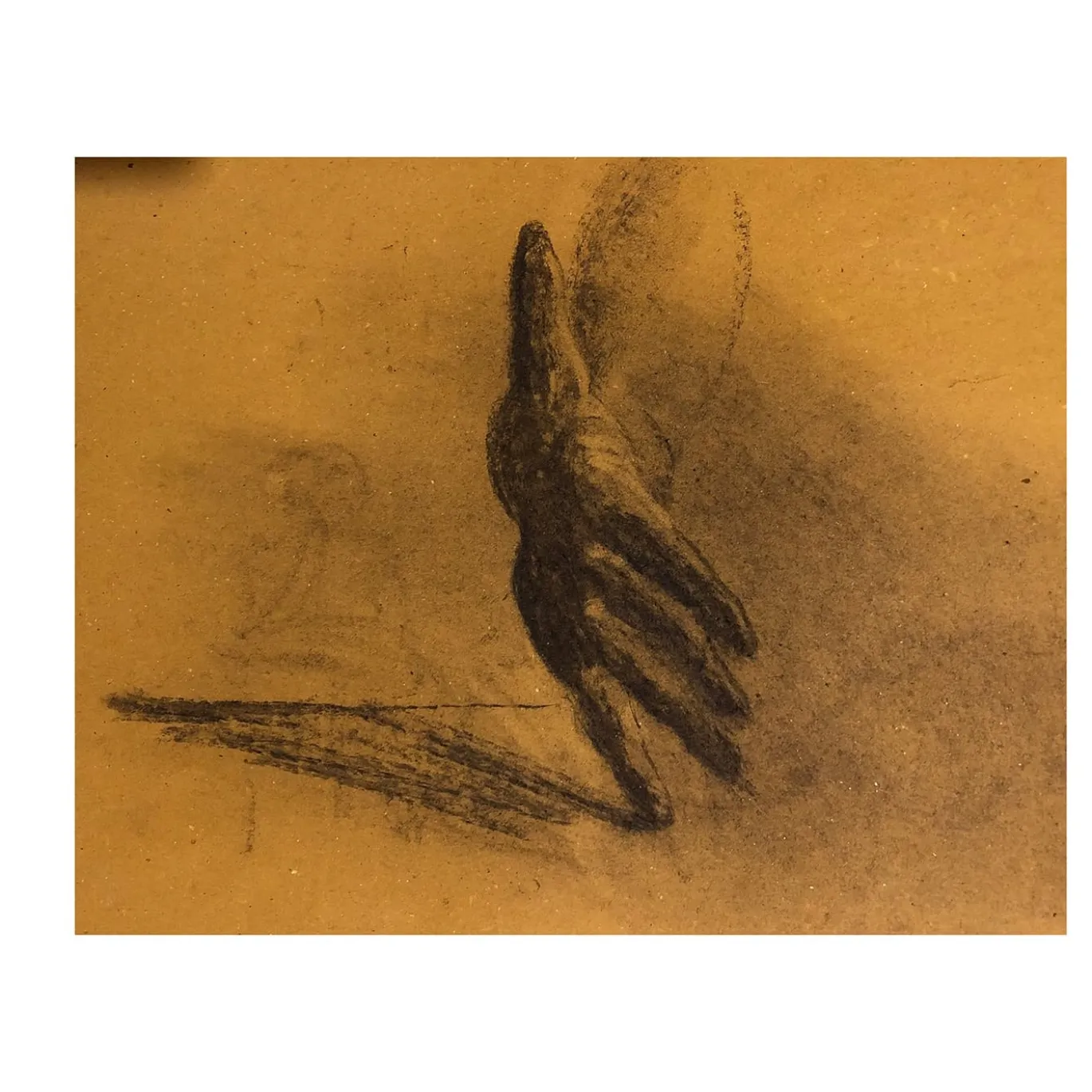Mano Disegno
