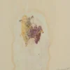 Marble and Flowers (Flesh, Venus, a Heart) Pittura Astratta su Carta Beige