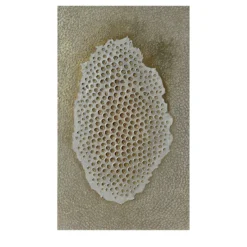 Pannello