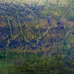 Pianeta Mare Pittura