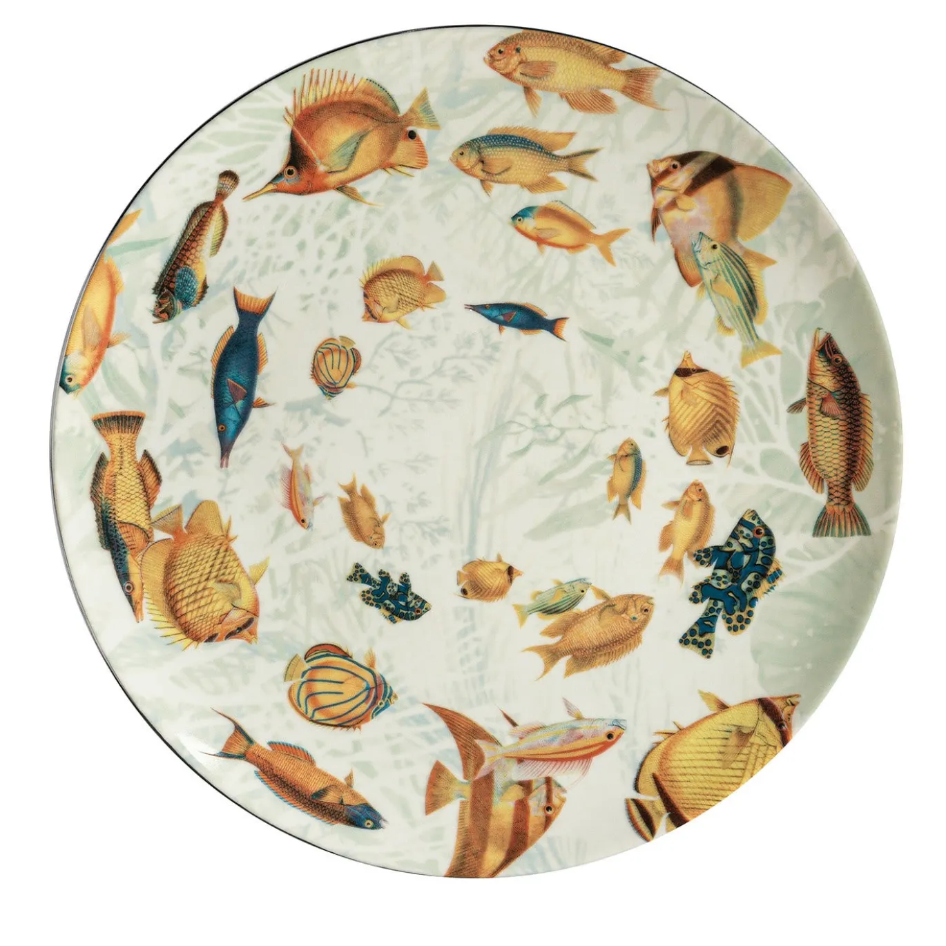 Piatto da pranzo in porcellana Amami con pesci tropicali #2
