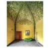 Pittoresco - Un Canto Per Gli Alberi - Stampa fotografica