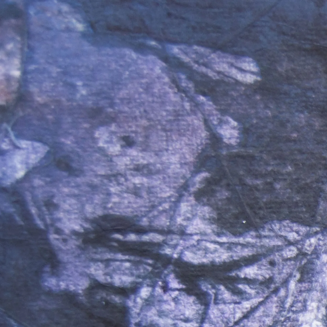 Pittura Chiarezze