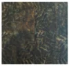 Pittura Feuillage