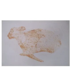 Pittura figurativa Animale