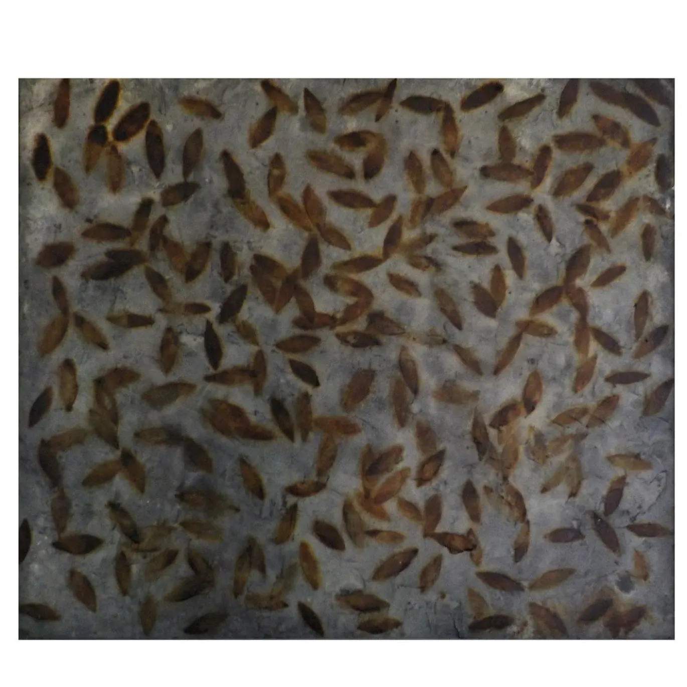 Pittura Foglie