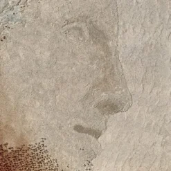 Quadro Materico Lo sguardo di Venere in resina