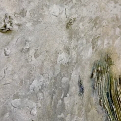 Quadro Materico Reef in resina
