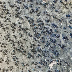 Quadro Materico Uscita di Venere in resina