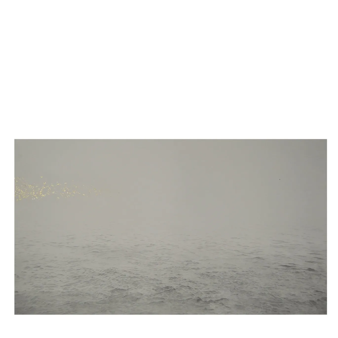 Respiro distante di un'ala Acquaforte