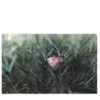 Rosa Botanika Carta da parati