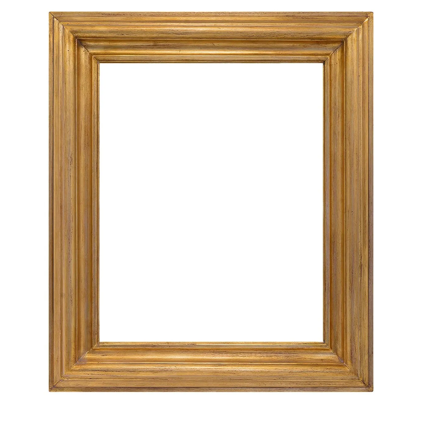 Salvator Rosa Gold Frame #2