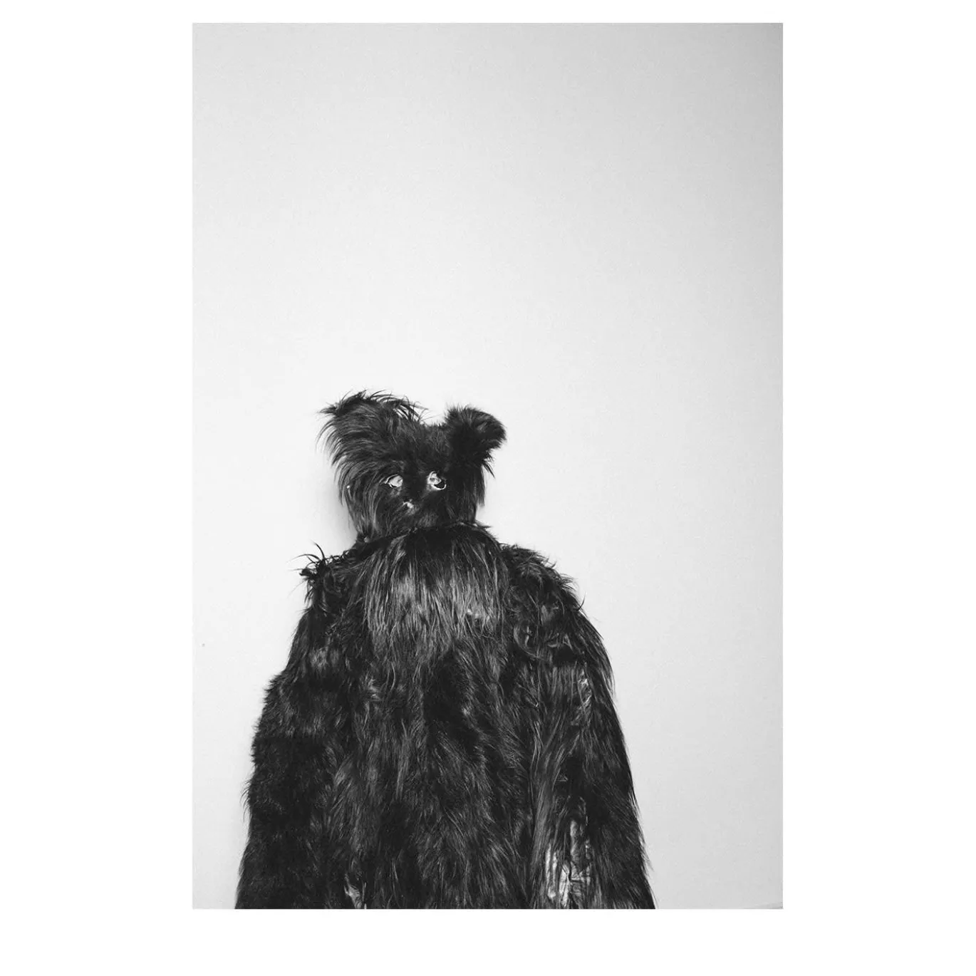 Savage Fool Bear Fotografia #05
